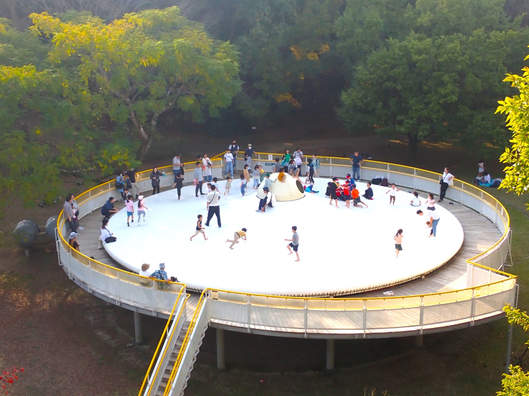 🦖 이바라키 자연사 박물관(뮤지엄파크 이바라키켄 시젠하쿠부츠칸) 이미지 4